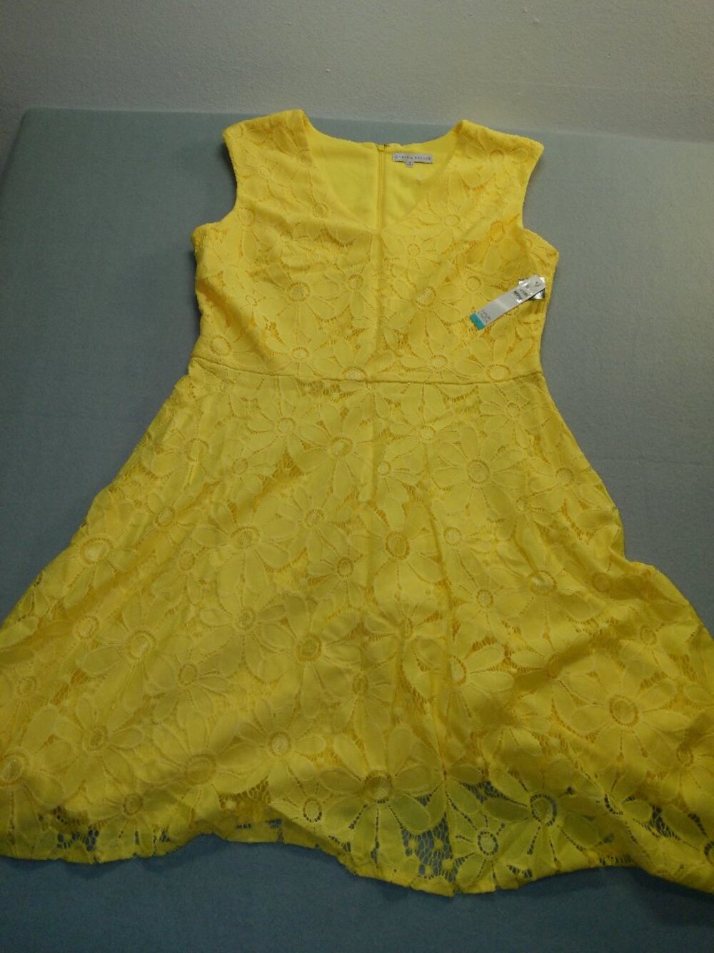 Dress Lace Overlay Fit & Flare Sleeveless Sandra Darren Size 16